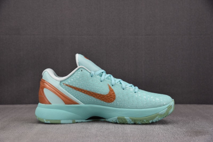 Nike Kobe 6 Protro Jalen Brunson PE PE2025-109